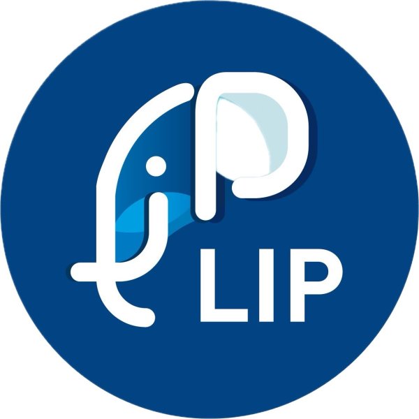 LIP INTERIM